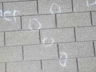 Free Inspection - Storm Damage